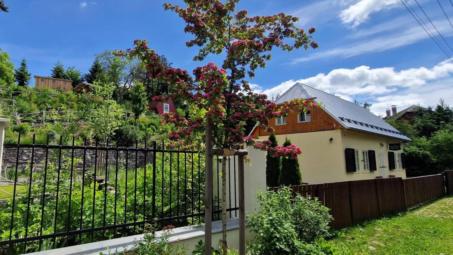 Siglisberg Banska Stiavnica Exterior foto